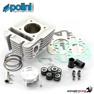 Polini aluminum cylinder kit D. 49 for Vespa Primavera 50 4V - Picture 1 of 5