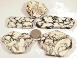 6 Howlite Old Collection 1 is an End Total 6.5 OZ Free Ship 1st Pic Wet #3606 - Picture 1 of 4
