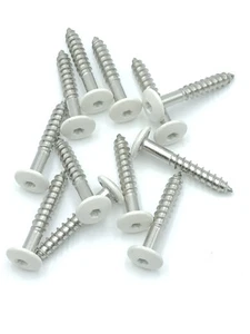 Fassadenschrauben  Holzschrauben Edelstahl  A4  5,5x35 -5,5x45mm weiss  RAL 9010 - Bild 1 von 2