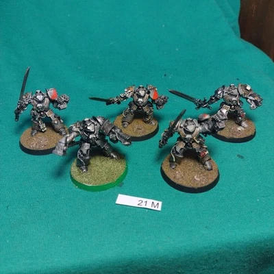 Lote 21M Terminators Paladins Metal Gris Caballeros 40K Foto 1 de 4
