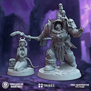 Primal sorcerer & companion - Imagen 1 de 1