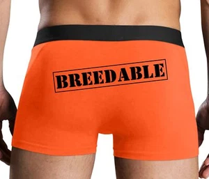 Knaughty Knickers Breedable Stamp Mens Orange Boxer Briefs Stretchy No Fly with - Picture 1 of 12