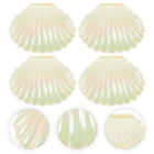 10 Sea Shell Candy Boxes Party Favors Jewelry Storage Containers