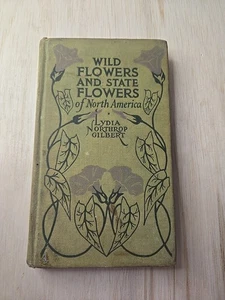 Wildflowers and state flowers of north america by lydia northrop gilbert 1930 Hc - Imagen 1 de 24