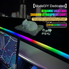 SYMPHONY RGB LED STRIP LIGHT CAR AMBIENT LIGHT APP DREAMCOLOR FOR TESLA MODEL3/Y