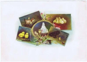 Ben Austrian top wrap painting of chicks  Schlegel  cigar box label W64 - Picture 1 of 1
