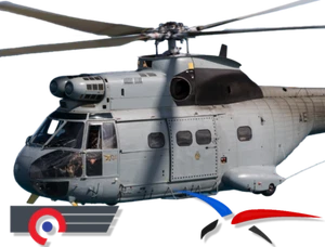 [FFSMC Productions] (SA330 / AS332) Puma Luft- und Raumfahrtwaffe (ADAE) - Bild 1 von 4