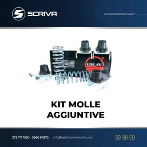 KIT 4 MOLLE AGGIUNTIVE RINFORZO CARICO FIAT DUCATO ANNO 94 AL 06 DA 300KG 14972 - Imagen 1 de 1