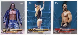 2018 Topps WWE Then Now Forever SILVER Parallel Card - EDGE #10/25 - Picture 1 of 1