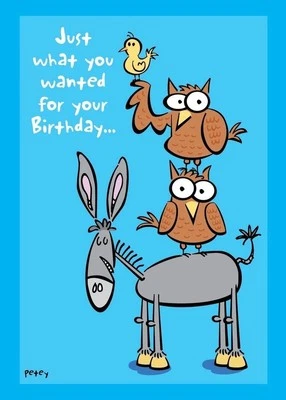 5x7 Card/ Funny Humor/ Birthday Sarcasm Her Him Friend SA5757 Unfiltered - Image 1 of 2