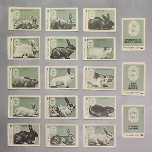 Criadores soviéticos Conejos Nutria Match etiquetas URSS 1988 pegatinas caja de cerillas SET 18🐇 - Imagen 1 de 2