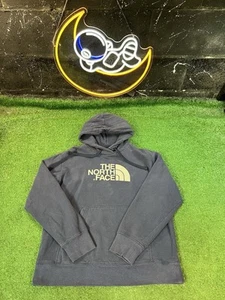 The North Face Tekno Logo Blue Hoodie Sweatshirt Men’s Size Large LG - Picture 1 of 5