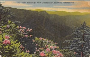Postkarte TN: Blick vom Pulpit Point, Great Smoky Mountains NP, Tennessee, Leinen - Bild 1 von 2