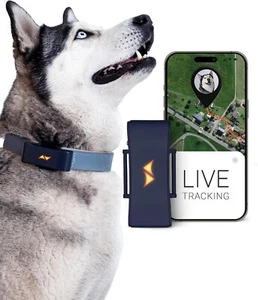 Tracker for Dogs Runaway Alarms Worldwide Live Tracking Battery Saving Mo - Picture 1 of 7