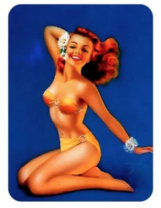 Pinup Girl Sticker Decal Vintage pin up pin-up P393 - Picture 1 of 1