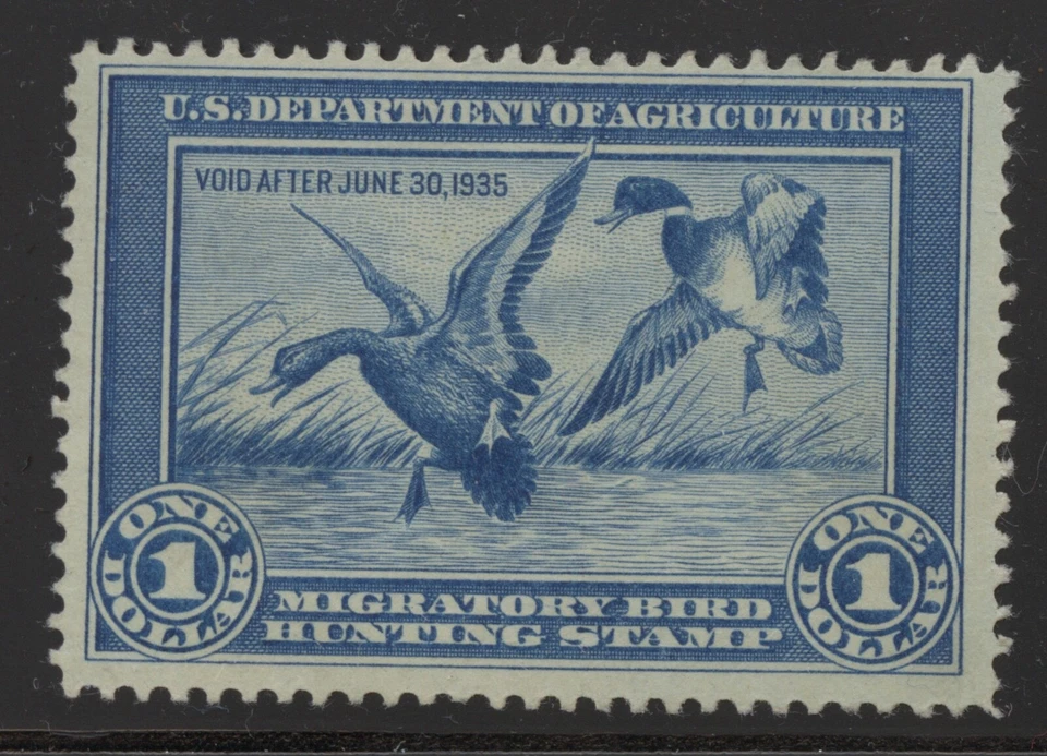 #RW1 $1 Blue Duck Stamp, VF, Mint NO GUM, SCV $175 -- SOUND BEAUTY!! - Image 1 of 1