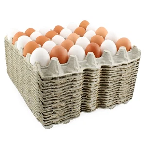 18 bandejas de huevos de 30 unidades; cajas de huevos de pollo de material reciclado biodegradable - Imagen 1 de 9