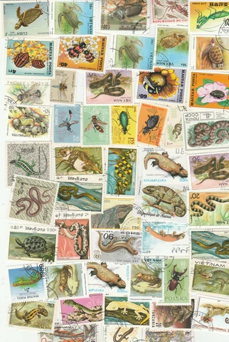 50 different used stamps snakes..bugs Cover