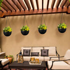 2 Pcs Hanging Wall Flowerpot Live Indoor Plants Miss
