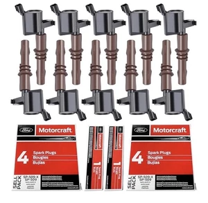 MAS Juego de 8 Bobinas de Encendido Botas Marrón DG521 y Bujías Motorcraft SP-509 - Imagen 1 de 5
