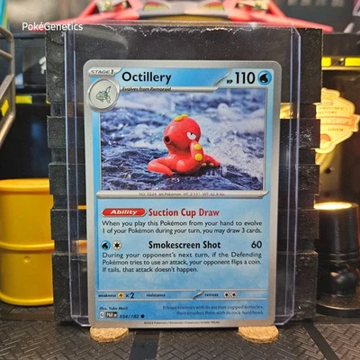 Octillery Paradox Rift Pokémon TCG 034/182 Scarlet & Violet SV04 Common - Image 1 of 4