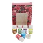 6Bottles 3ml Pure Aromatherapy Essential Oil for Diffuser Humidifier Massage