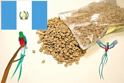 5 LBS GUATEMALAN QUETZAL BIRD FRESH UNROASTED GREEN COFFEE BEANS - ARABICA