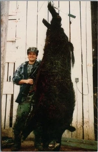 Vintage COOK STATION, Missouri Postcard "HIGH ADVENTURE RANCH" Maryland Heights - Picture 1 of 2