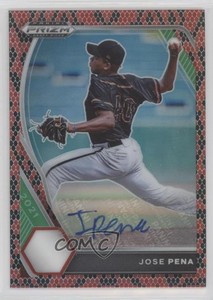 2021 Panini Prizm Draft Picks Snake Skin Prizm Auto /15 Jose Pena #PDP175 Auto