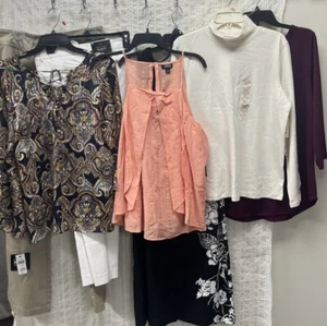 Woman’s clothing Size 14 Bundle Size L-XL Tops Bottoms Dress NWT 7 Pieces - Picture 1 of 20