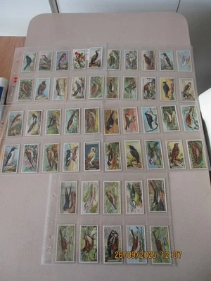 OGDENS BRITISH BIRDS (Cut Outs) 1923 Full set of 50 cards in plastic sleeves - Image 1 of 4