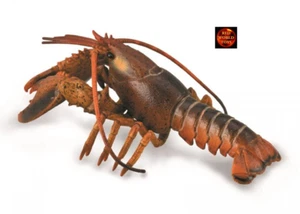 Hummer Marine Sealife Spielzeug Modellfigur von CollectA 88920 - Bild 1 von 1