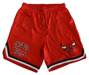 NBA CHICAGO BULLS BASKETBALL SHORTS L - Picture 1 of 4
