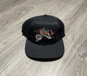 Vintage Miami Dolphins NFL Looney Tunes TAZ 1996 Deadstock Football SnapBack Mütze - Bild 1 von 6