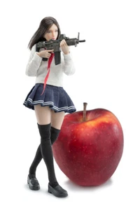 VERYCOOL VCF-3001 Palm Treasure Series Campus Gun Girl (C.G.G.) 1/12 Figure - Picture 1 of 12
