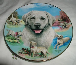 "BEST BUDDY" PLATE FOR THE LOVE OF LABS  COA  - Picture 1 of 4