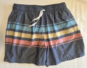 Chubbies 5.5" Men's L Large Swim Trunks Stretch Liner Zip Pocket Striped - Picture 1 of 5