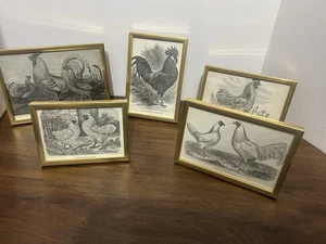 Lot Of 5 Framed Chicken/Rooster Black& White Pictures Gold Tone Frames - Picture 1 of 19