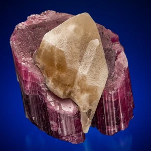 Elbait mit Quarz Turmalin Queen Mine, California Harris Coll 1807-R06 - Bild 1 von 4