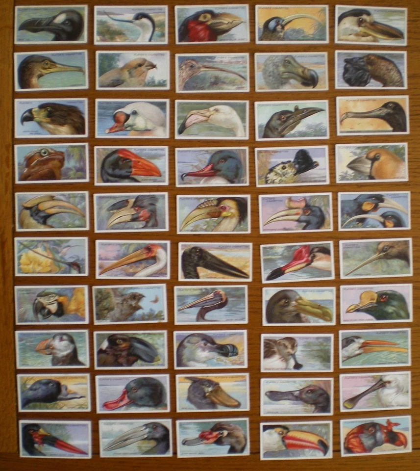 Set Players CURIOUS BEAKS 1929 cigarette cards in VG condition - Image 1 of 1