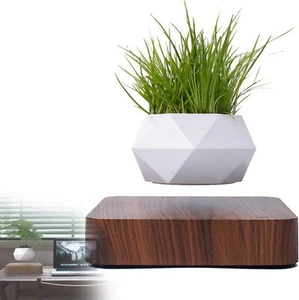 Magnetischer Schwebende Pflanze-Topfpflanzen Blumentopf Schreibtischdekoration - Bild 1 von 9