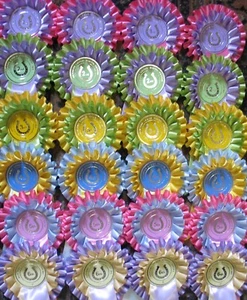 Pretty Rosettes 1st to 6th x 4 of each 2 tier SHOW NAME INCLUDED! - Picture 1 of 1