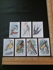 VINTAGE CHURCH & DWIGHT USEFUL BIRDS OF AMERICA CARDS LOT OF 7 CARDS 10TH SERIES