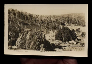 VINTAGE ROSE SERIES REAL PHOTO POSTCARD PANORAMA MT. DANDENONG VICTORIA - Picture 1 of 1