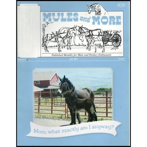 Mules and More - Jul. 2007 Vol. 17 Issue 9 (Back Issue Magazine) - Bild 1 von 2