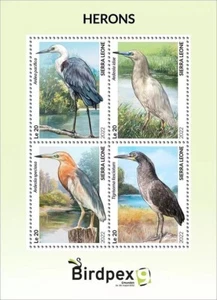 HERONS Waterbirds BIRDPEX Birds/Bird MNH 4v-Stamp Sheet #2127 2022 Sierra Leone - Picture 1 of 1