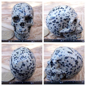 2.0" Dalmatian Jasper Stone Skull Hand Carved 92.1g 3.2oz Crystal Healing - Picture 1 of 12