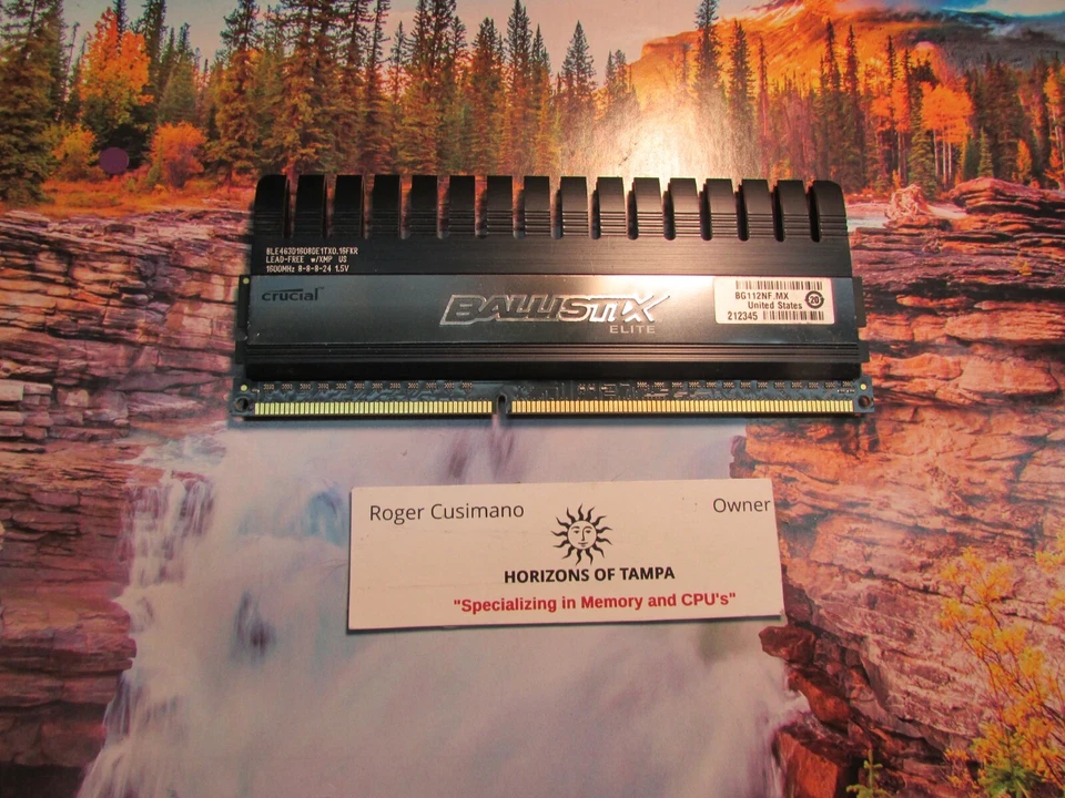 Ballistix Elite 4GB-12800 BLE4G3D1608DE1TX0.16FKR MEMORY - SINGLE - Image 1 of 1