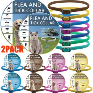 2x Collar Dogs Ticks And Flea Collar Dogs Cats 8 Months Protection Plant Pest AU - Picture 1 of 32