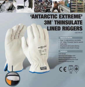 3M Thinsulate® Lined 100g Maxisafe A Grade Premium Cow Leather Riggers Glove